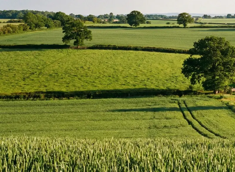 Flyt webhotel uden nedetid: En guide til en hurtigere hjemmeside